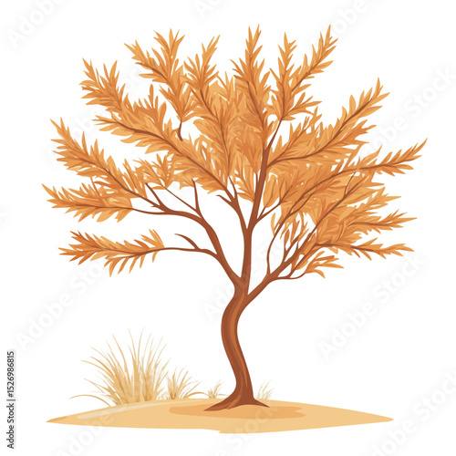 A Tamarisk Tree vector 2D flat illustration, isolated on a white background.