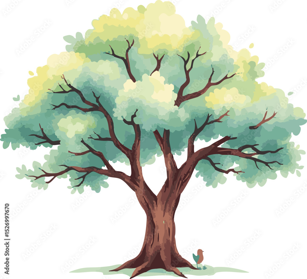 Obraz premium Sprawling tree with a lush crown.