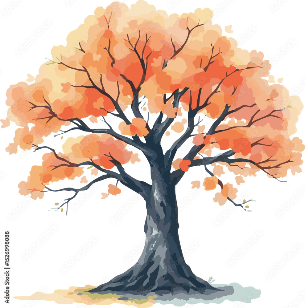 Fototapeta premium Sprawling tree with a lush crown.