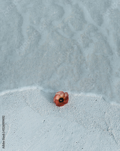 Flower on the sand