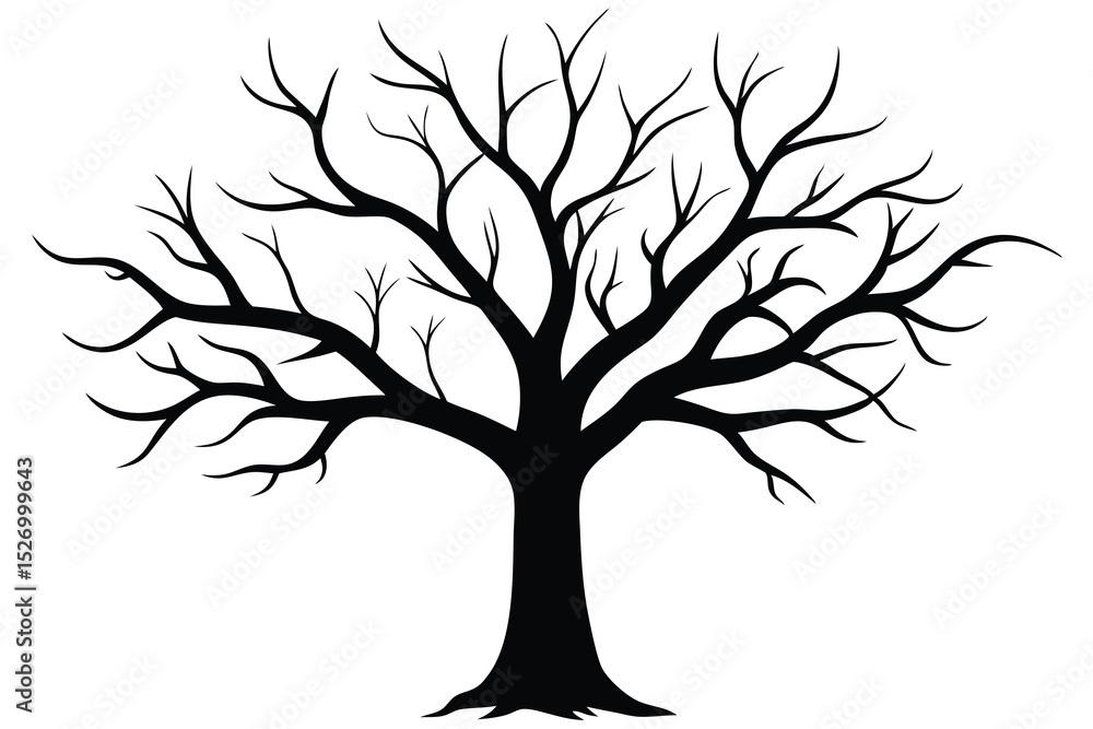 Obraz premium Silhouette of a Bare Tree with Branches Reaching Upward Against a White Background