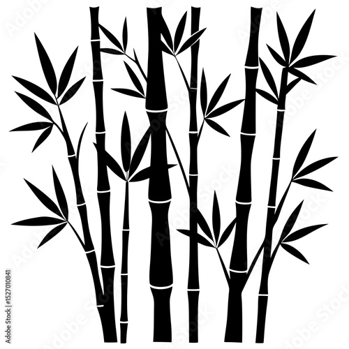 bamboo vector illustration