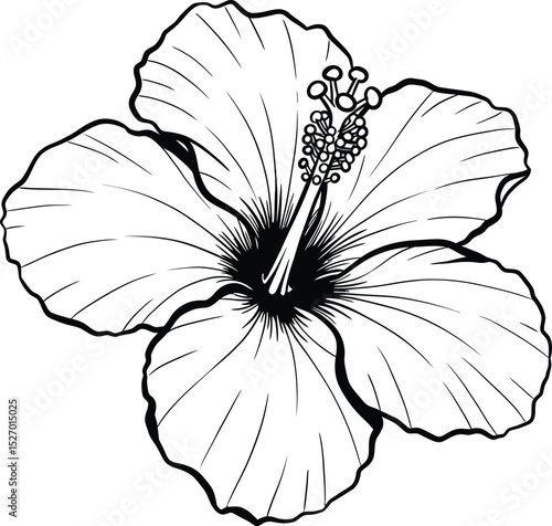 Elegant black and white hibiscus flower illustration