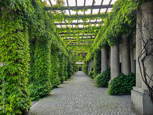 Concrete Tunnel Covered in Lush Ivy