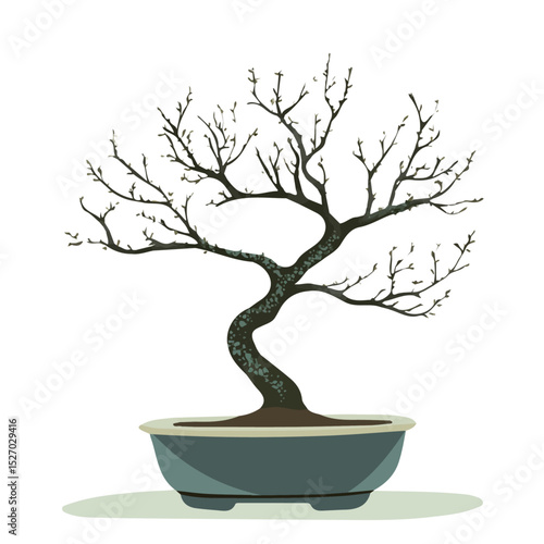 2D flat vector illustration of A Hackberry Bonsai, isolated on a white background.
