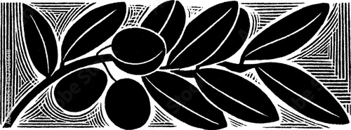 Folk art style woodcut print of olive branch with leaf texture