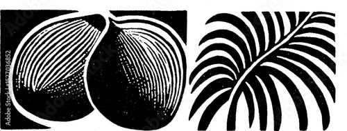 Folk art woodcut print with palm leaf and coconut design for creative projects