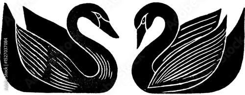 Folk art style woodcut print of two swans with textured design