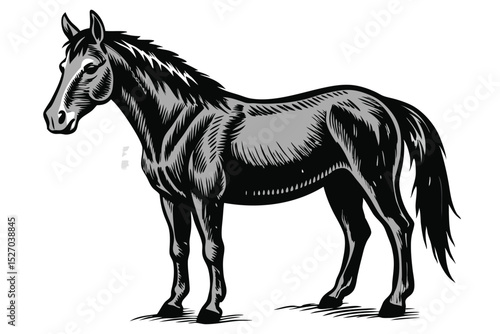 Illustration of a magnificent grey horse standing proudly with its head turned in a rural setting on a sunny day, showcasing its muscular build and graceful form