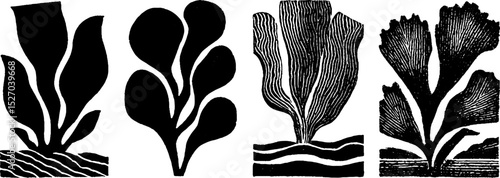 Neo folk art style woodcut illustration of abstract botanical forms for creative design