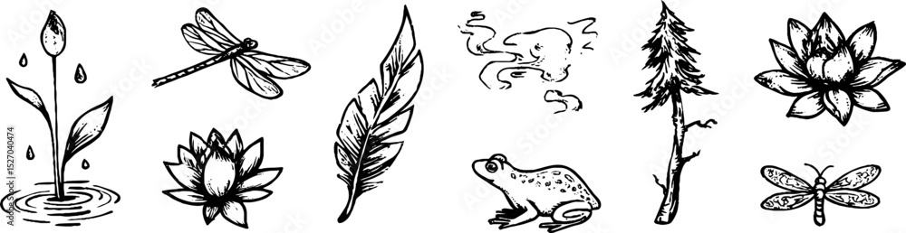 Quirky dragonfly and nature sketches collection for creative design Quirky dragonfly and nature sketches collection for creative design