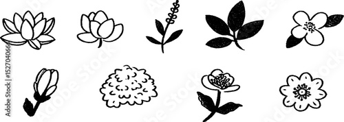 Whimsical sketches of lotus flowers and botanical elements for creative design