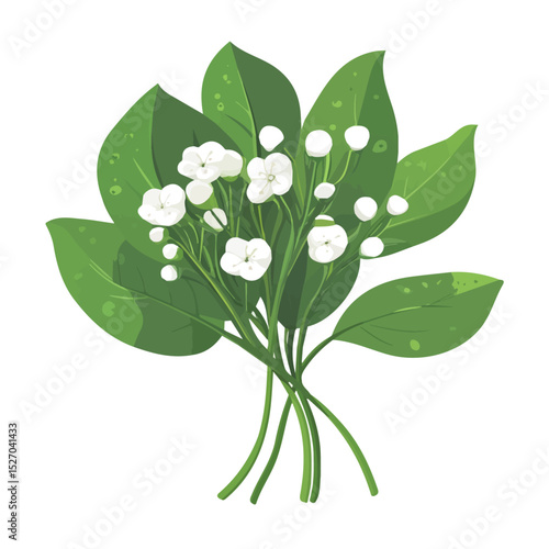 A Bogbean Bouquet vector 2D flat illustration, isolated on a white background.