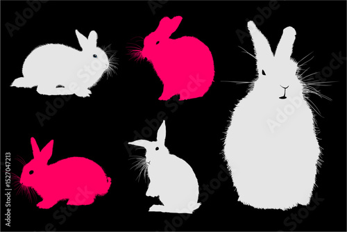 conejito, animal, pascua, dibujos animados, vector, liebre, ilustración, cuca, primavera, mamífero,