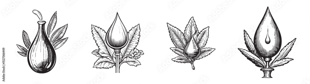 Obraz premium Vintage Illustrated Oil Drop with Leaf Elements in Black and White, logo design, engraving design, vector illustration