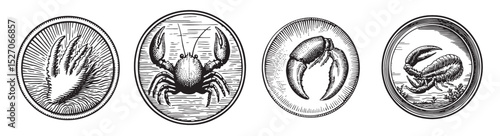 Vintage Seafood Illustrations in Engraving Style with Crustaceans, logo design, engraving design, vector illustration