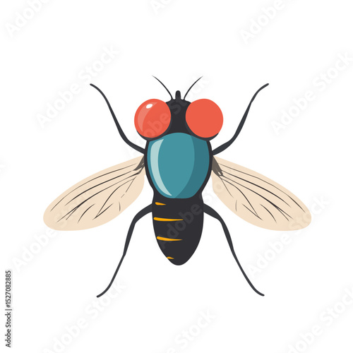 Fly Close Up 2D flat vector illustration, isolated on a white background.