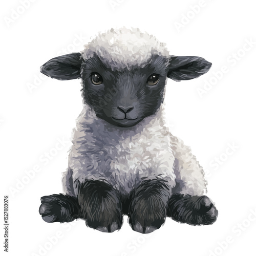 2D flat Fluffy Baby Lamb Field vector illustration, isolated on a white background.