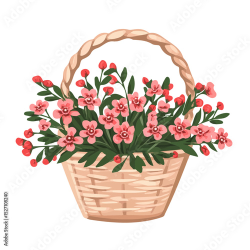 2D flat A Waxflower Flower Basket vector illustration, isolated on a white background.