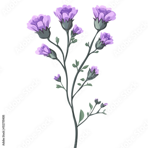 A Statice Flower Stem 2D flat vector illustration, isolated on a white background.