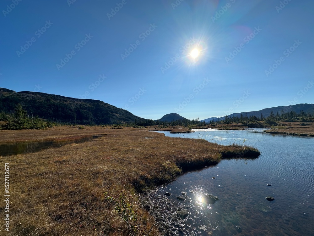 Naklejka premium landscape with lake