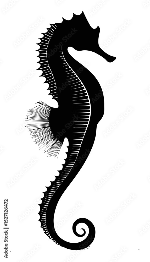 Fototapeta premium Elegant Hand-Drawn Silhouette of a Seahorse in Black and White Style