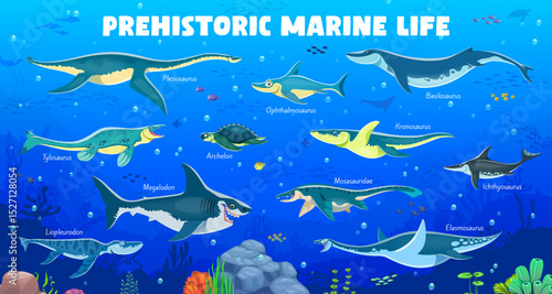 Prehistoric underwater dinosaurs characters infographics with aquatic reptile species, vector museum poster. Prehistoric sea dinosaurs and ocean underwater reptiles with names for dino infographics