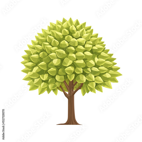 2D flat vector illustration of A Durian Tree, isolated on a white background.