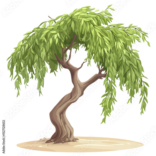2D flat A Desert Willow Tree illustration vector, isolated on a white background.