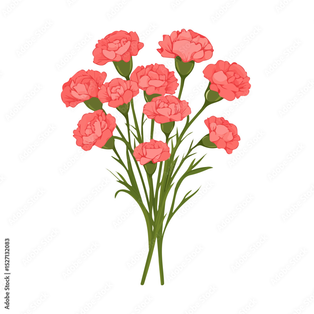 A Carnation Bouquet 2D flat vector illustration, isolated on a white background. A Carnation Bouquet 2D flat vector illustration, isolated on a white background.