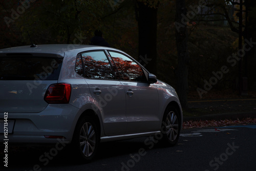 秋・木陰に止まっている白色の自動車
