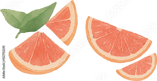 Watercolor Grapefruit Illustration – Hand Painted Citrus Fruit Clipart on White Background | Generative AI