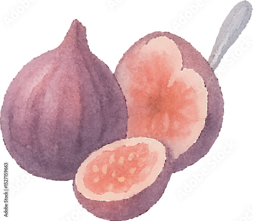 Watercolor Fig Illustration – Hand Painted Exotic Fruit Clipart on White Background | Generative AI