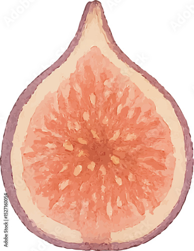 Watercolor Fig Illustration – Hand Painted Exotic Fruit Clipart on White Background | Generative AI