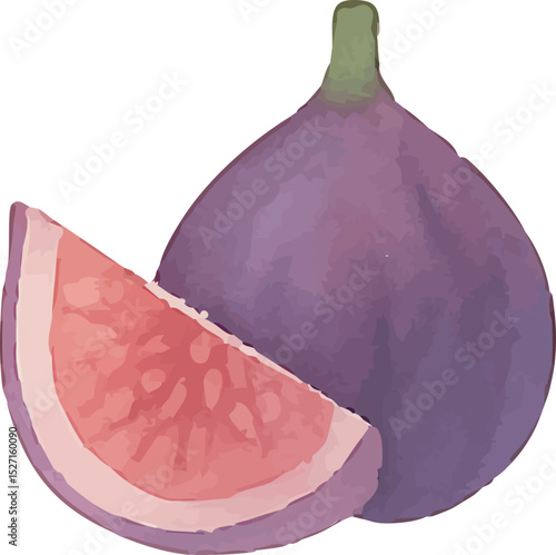 Watercolor Fig Illustration – Hand Painted Exotic Fruit Clipart on White Background | Generative AI