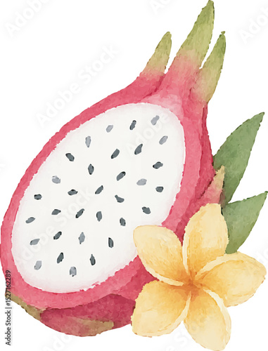 Watercolor Dragonfruit Illustration – Hand Painted Exotic Fruit Clipart on White Background | Generative AI