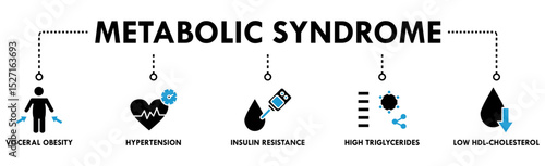 Symptoms of Metabolic Syndrome banner web icon vector illustration concept with an icon of Hypertension, Insulin Resistance, High Triglycerides, Low HDL-Cholesterol, Visceral Obesity