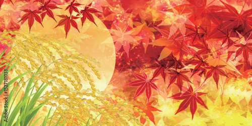 米　和柄　秋　背景	