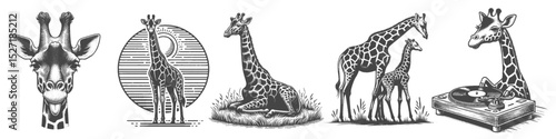 Vintage Hand-Drawn Giraffe Collection Illustration, Wildlife Animal Engraved Style Vector for T-Shirts and Family & Music Themes Design