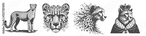 Vintage Hand-Drawn Cheetah Melted and Cheetah as a King Collection Illustration, Wild Animal Engraved Style Set Vector for T-Shirts and Fantasy Themes Design