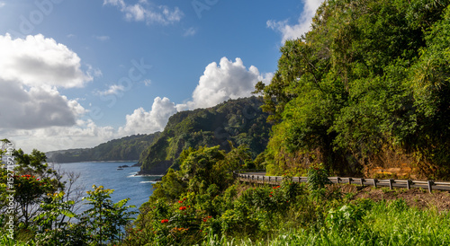 Scenic coastal road winds through lush greenery, with ocean views under a partly cloudy sky.