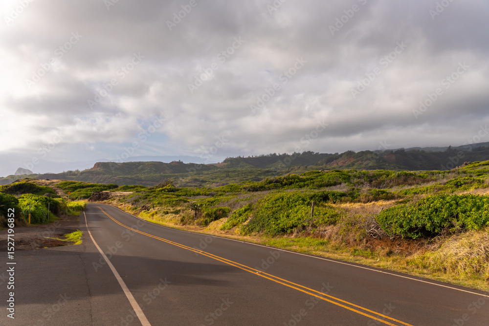 Fototapeta premium A winding road cuts through a lush, green landscape under a cloudy sky.