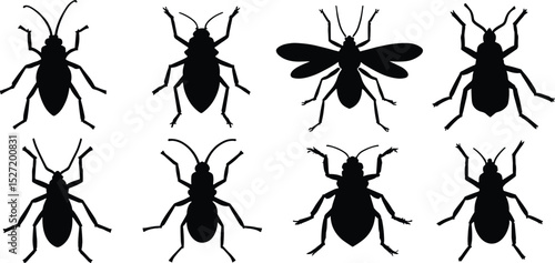 Set of black insect silhouettes featuring various bugs with wings, legs, and antennae. Vector icons isolated on transparent background, ideal for science, nature, and design projects.
