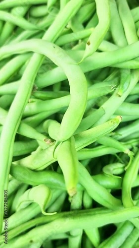 Fresh green beans stacked in piles are suitable for vegetables and healthy food ingredients