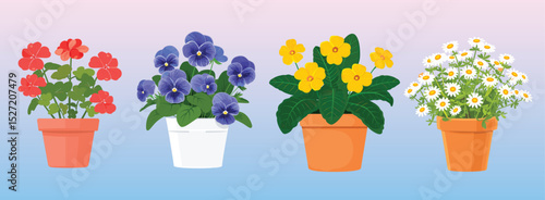 Colorful potted flowers illustration, isolated vector set