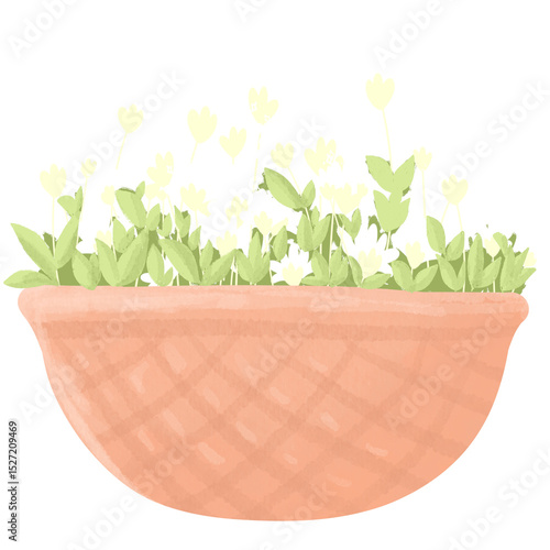 White flowers in pot planting png