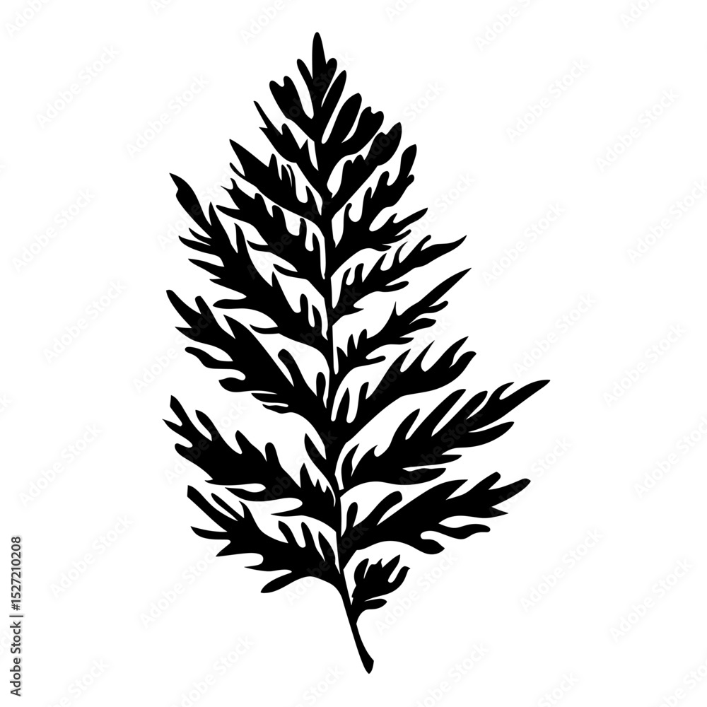 Fototapeta premium Cedar Leaf silhouette leaf art vector