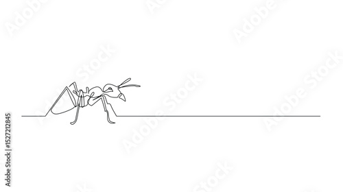 Ant Continuous Line Drawing, Isolated on White Background