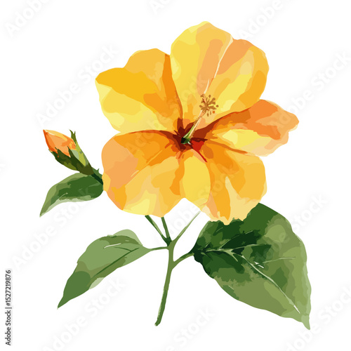 Hibiscus clip art hibiscus illustration watercolor vector
