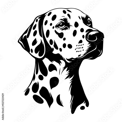 Dalmatian dog illustration stencil vector